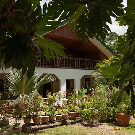 Jeanny'S Apartment Grand Anse  Exterior foto